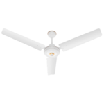 Ceiling Fan 4