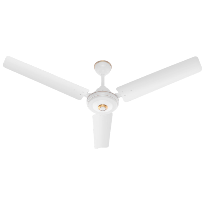 Ceiling Fan 4