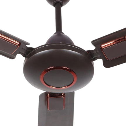 Ceiling fan 5